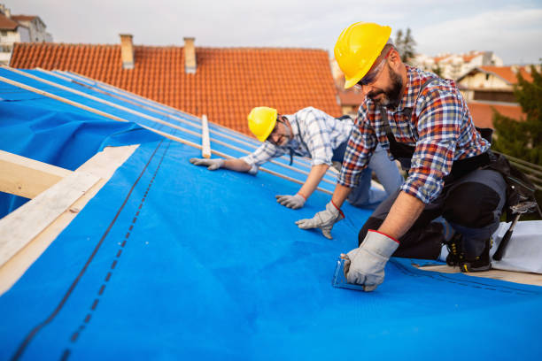 Best Emergency Roof Repair  in Meadowdale, WA