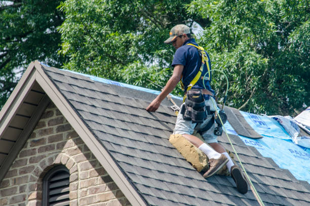 Best Gutter Installation and Roofing  in Meadowdale, WA